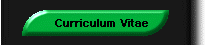 Curriculum Vitae